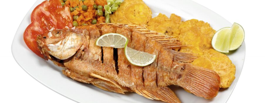 Platos Tradicionales – Traditional Dishes